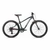 ORBEA MX 24 DIRT 22