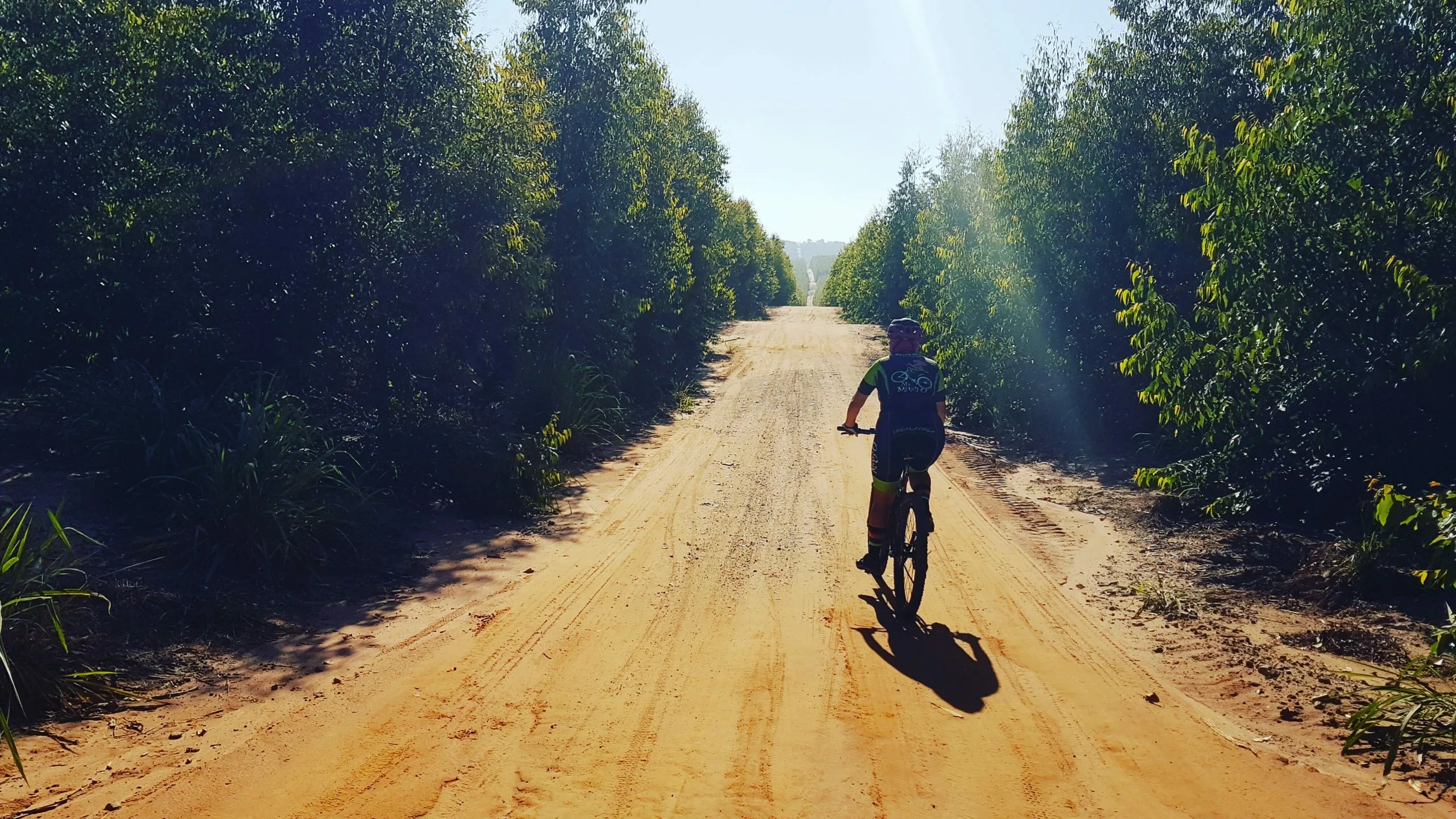 BICICLETAS comercio -BICICLETAS comercio pexels photo 10990198 scaled